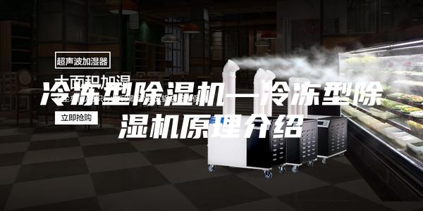 冷冻型除湿机—冷冻型除湿机原理介绍