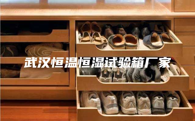 武汉恒温恒湿试验箱厂家