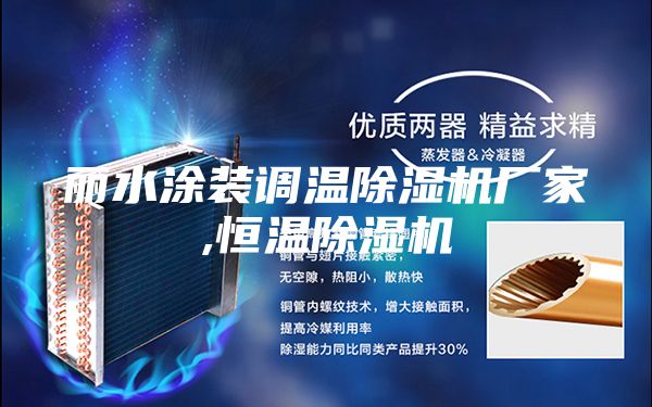 丽水涂装调温除湿机厂家,恒温除湿机