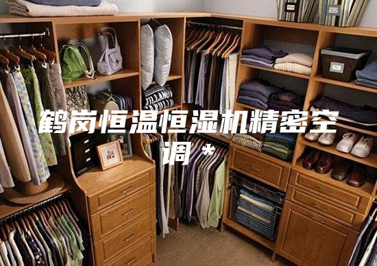 鹤岗恒温恒湿机精密空调＊