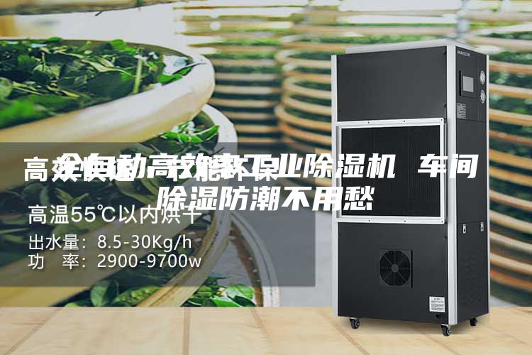 全自动高效率工业除湿机 车间除湿防潮不用愁