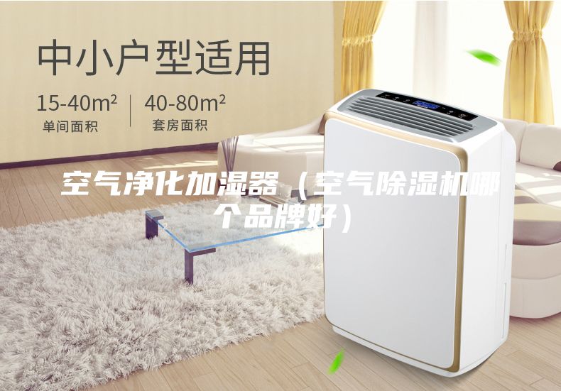 空气净化加湿器（空气除湿机哪个品牌好）