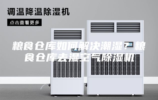 粮食仓库如何解决潮湿？粮食仓库去湿空气除湿机