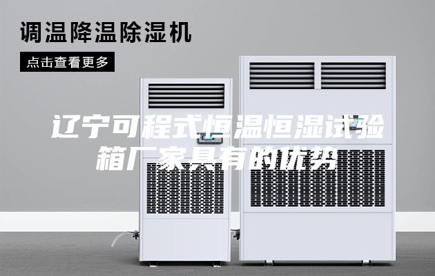 辽宁可程式恒温恒湿试验箱厂家具有的优势