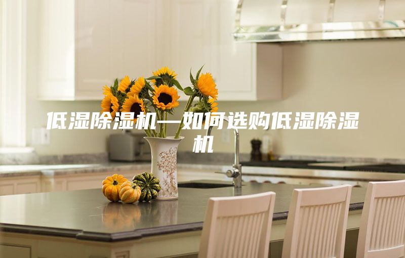 低湿除湿机—如何选购低湿除湿机