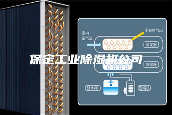 保定工业除湿机公司