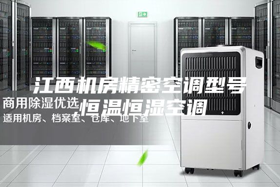 江西机房精密空调型号,恒温恒湿空调