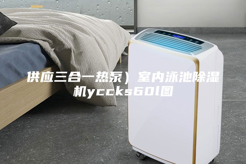 供应三合一热泵）室内泳池除湿机yccks60l图