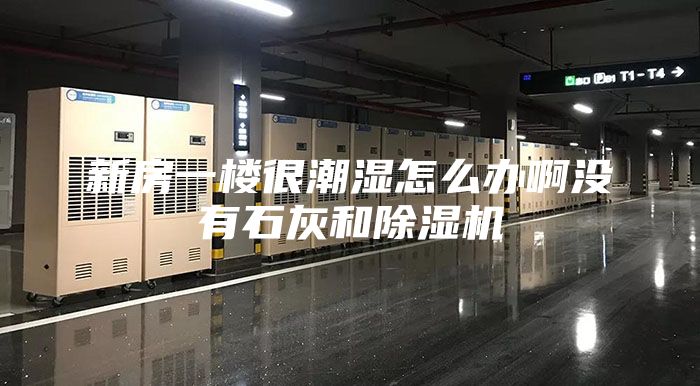 新房一楼很潮湿怎么办啊没有石灰和除湿机