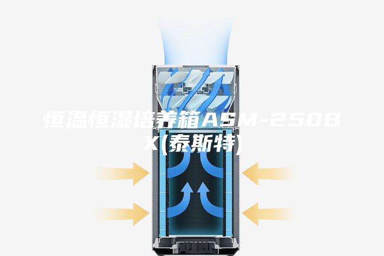 恒温恒湿培养箱ASM-250BX(泰斯特)