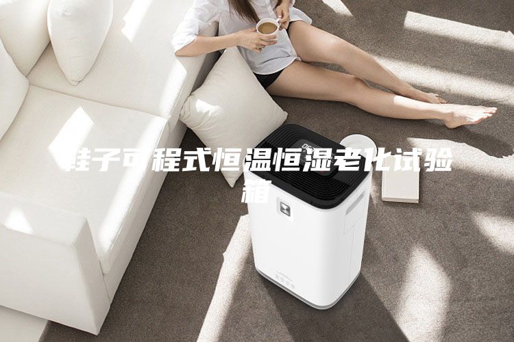 鞋子可程式恒温恒湿老化试验箱