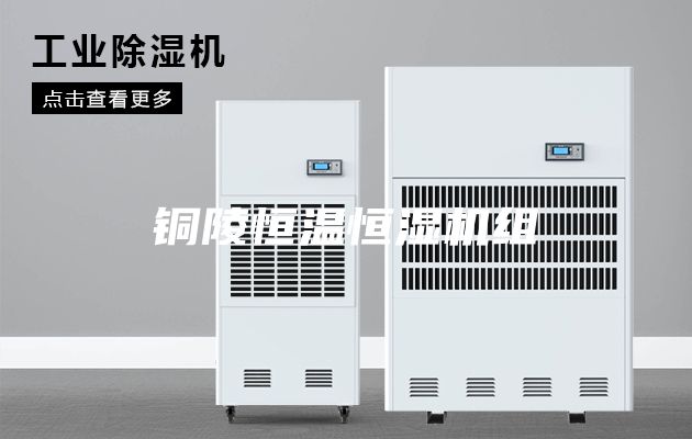 铜陵恒温恒湿机组