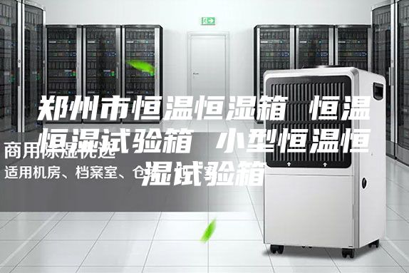郑州市恒温恒湿箱 恒温恒湿试验箱 小型恒温恒湿试验箱