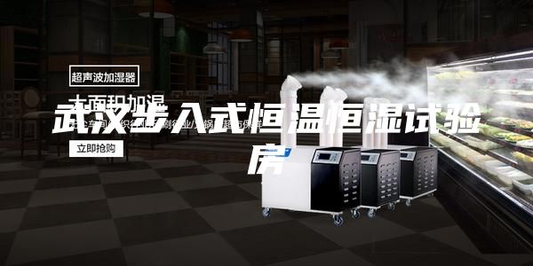 武汉步入式恒温恒湿试验房