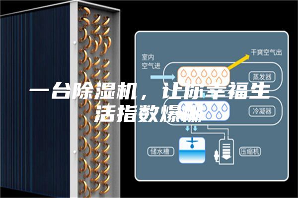一台除湿机，让你幸福生活指数爆棚