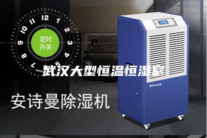 武汉大型恒温恒湿室