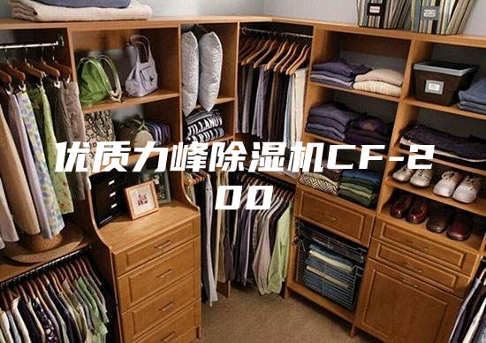 优质力峰除湿机CF-200