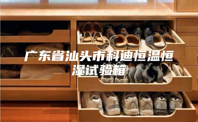 广东省汕头市科迪恒温恒湿试验箱